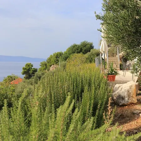 By The Sea Podgora, Makarska - 21817 Appartement Podgora